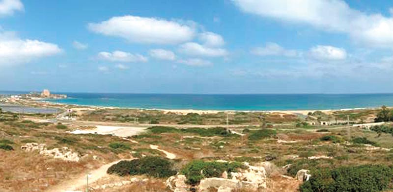 מגרשים לבנייה בעתלית